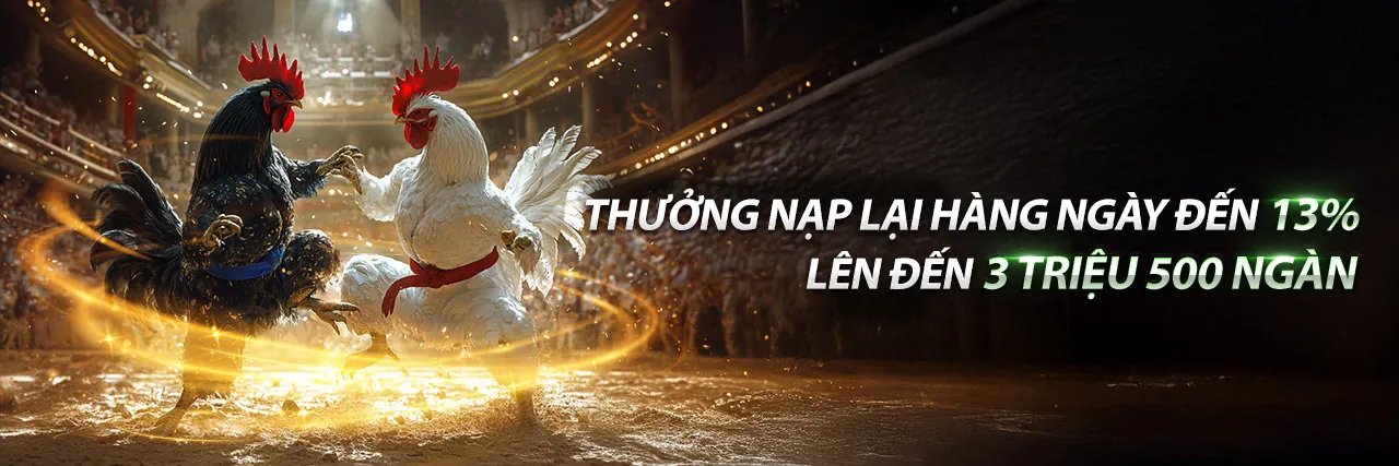 Đá Gà Trực Tuyến Hấp Dẫn tại Bongvip 25