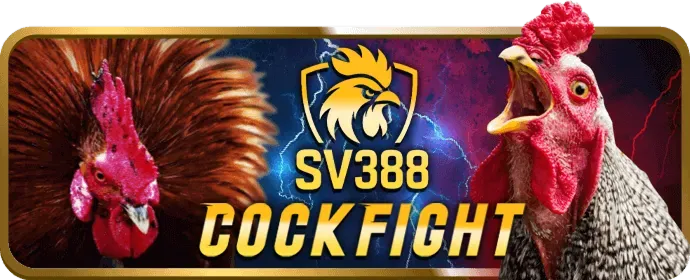 Cấp Độ Bạc bongvip 25