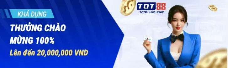 Giấy phép và quy định bongvip 25